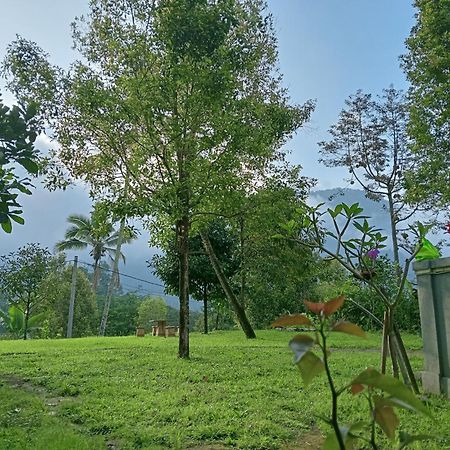 Jepun Homestay Lemukih Singaraja Buitenkant foto