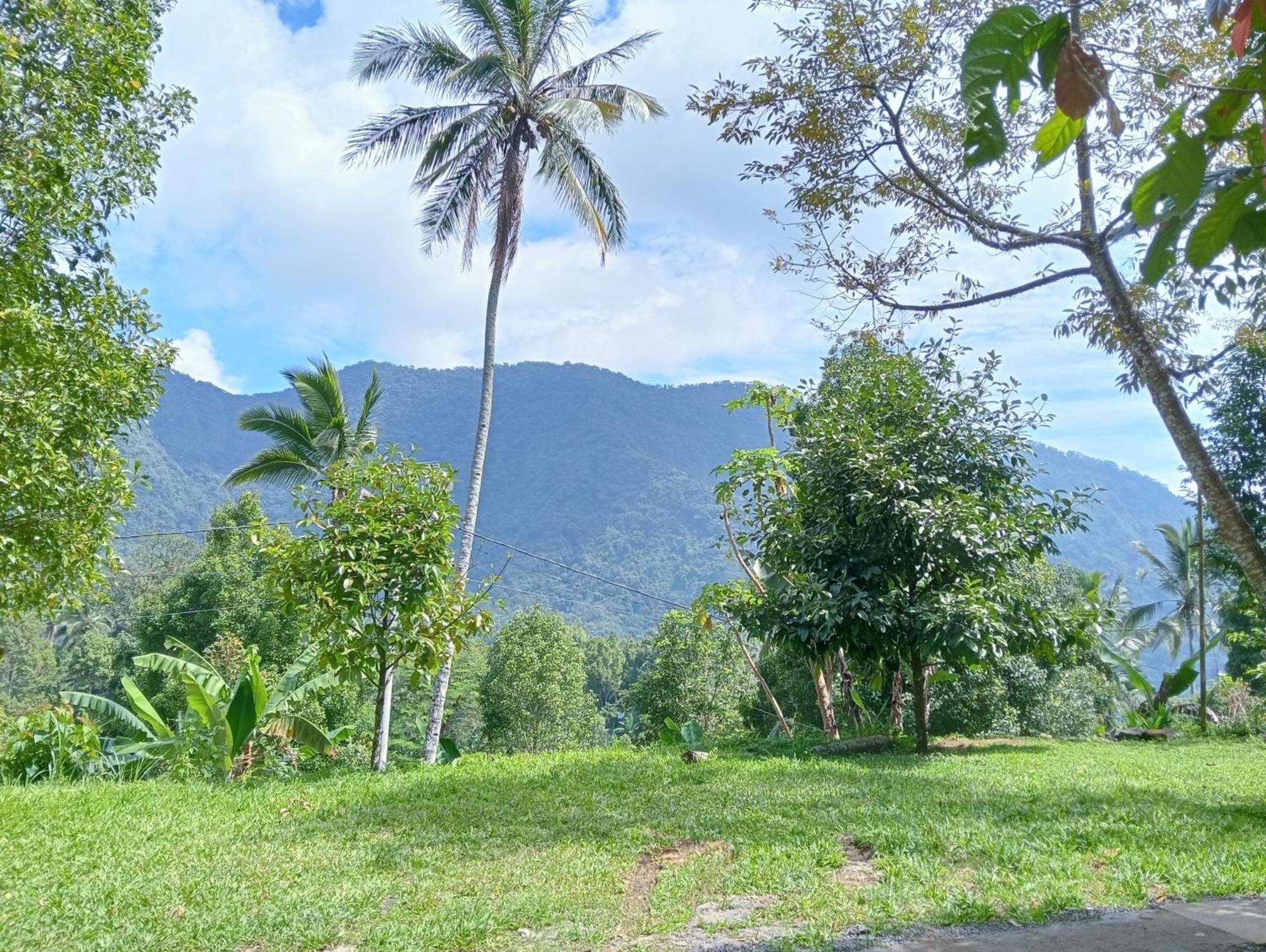 Jepun Homestay Lemukih Singaraja Buitenkant foto