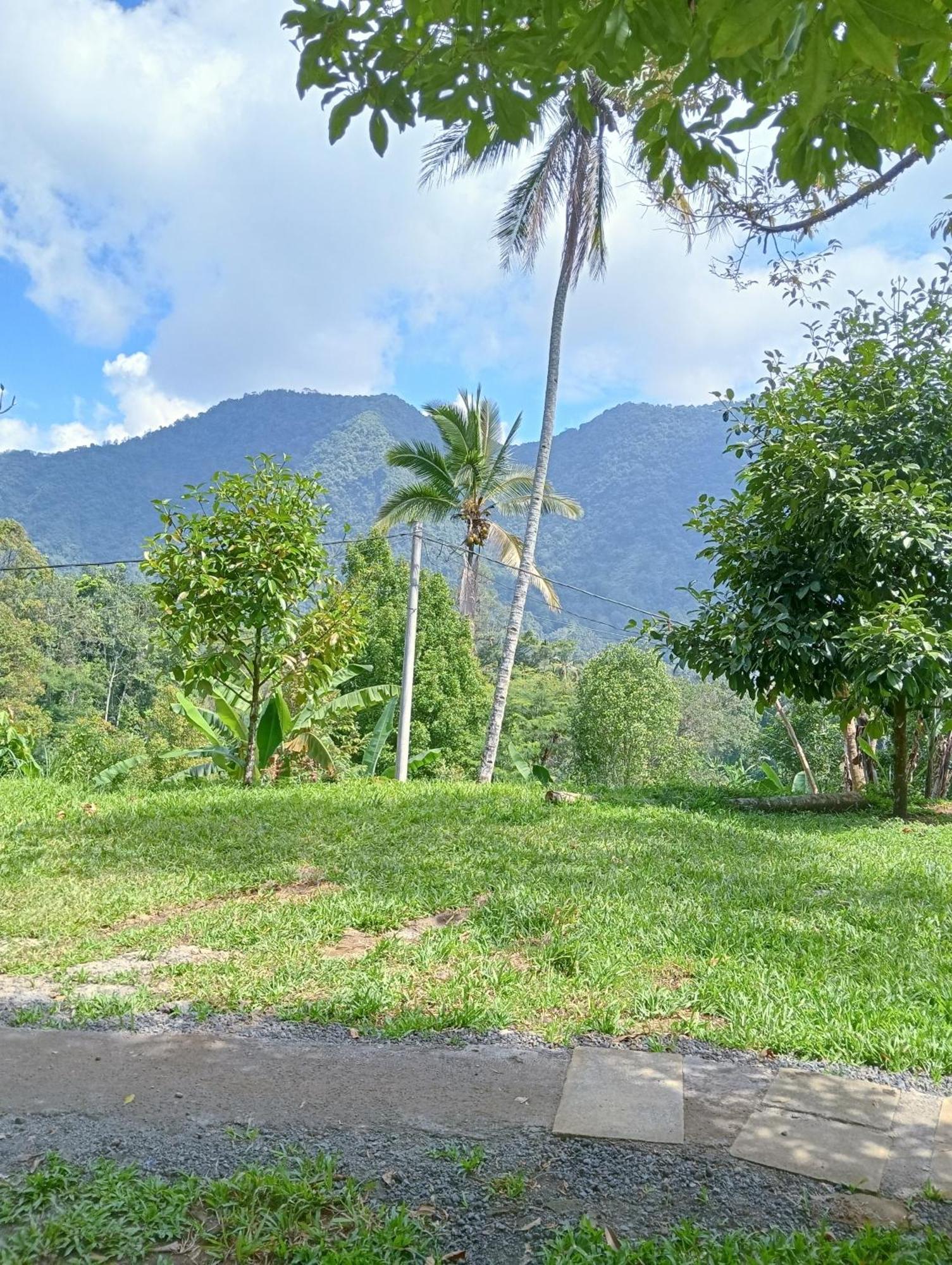 Jepun Homestay Lemukih Singaraja Buitenkant foto