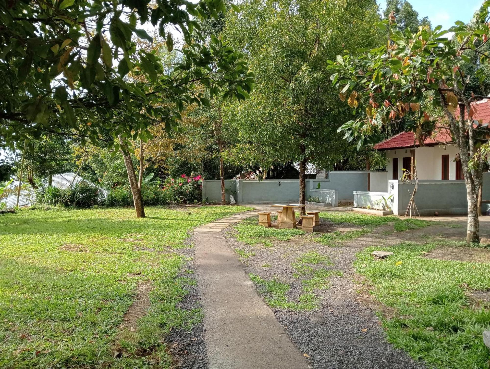 Jepun Homestay Lemukih Singaraja Buitenkant foto