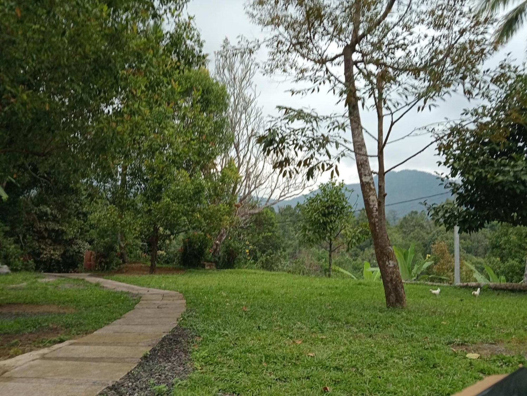 Jepun Homestay Lemukih Singaraja Buitenkant foto