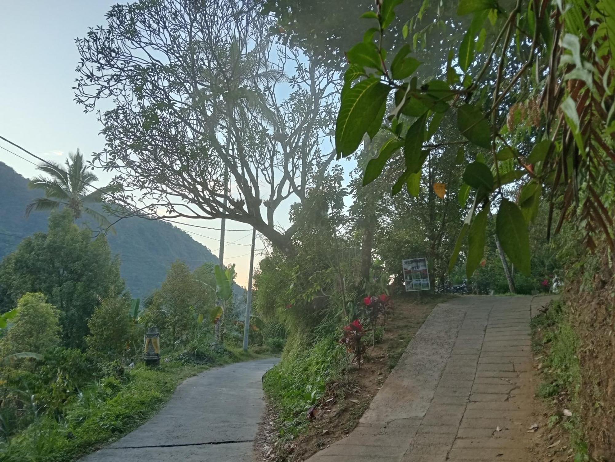 Jepun Homestay Lemukih Singaraja Buitenkant foto