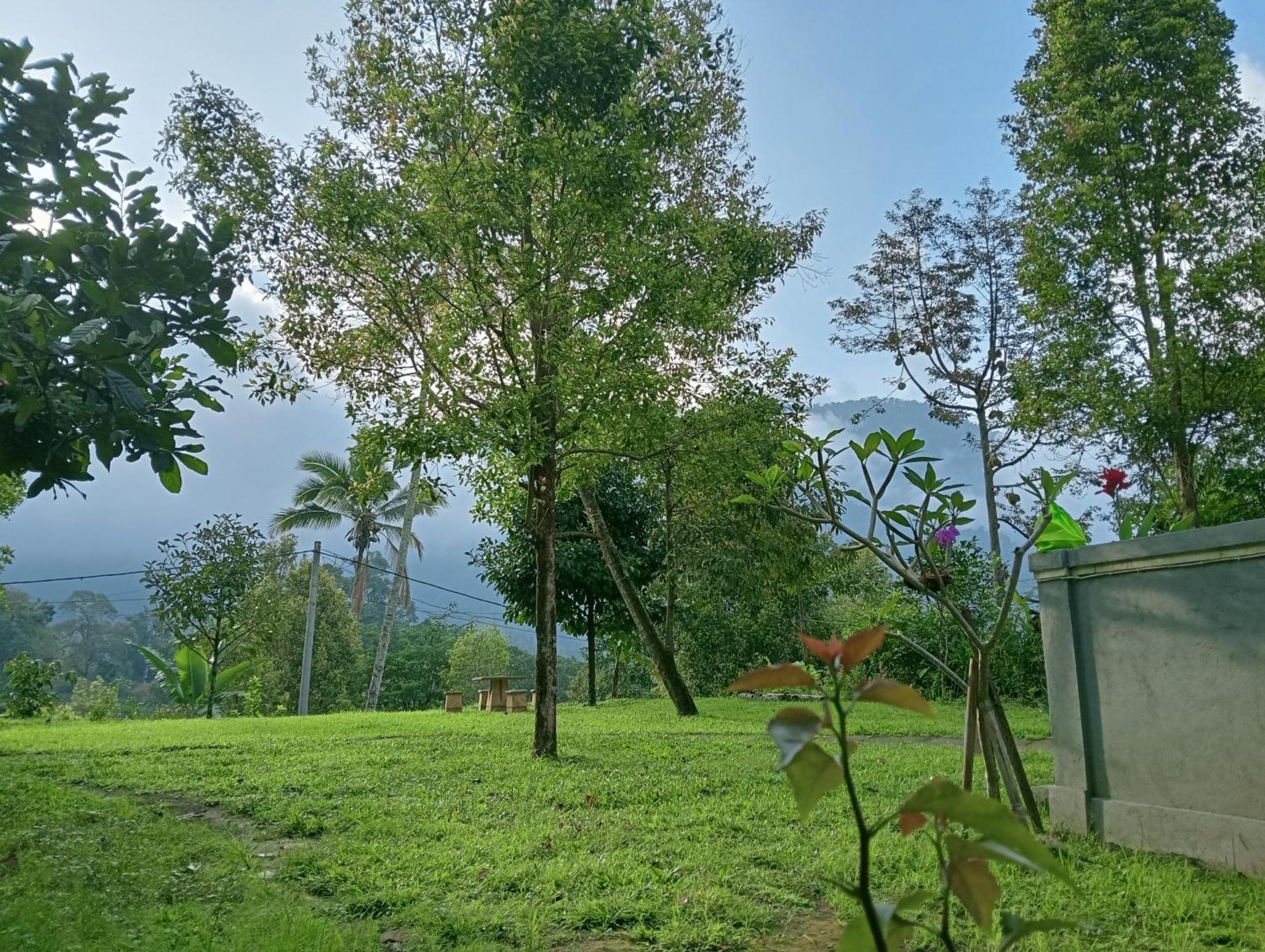 Jepun Homestay Lemukih Singaraja Buitenkant foto