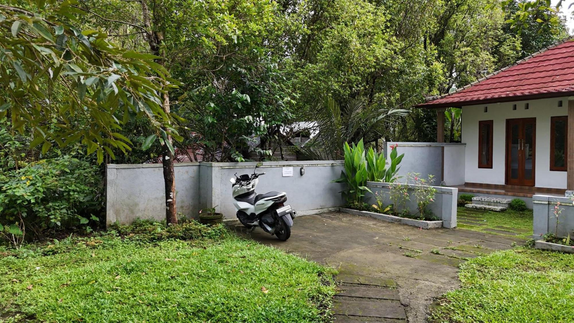 Jepun Homestay Lemukih Singaraja Buitenkant foto